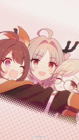レア プリコネ 2.5周年記念 リトグラフ レア プリコネ 2.5周年記念 リトグラフ